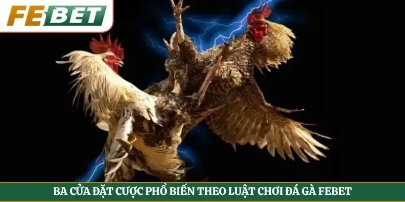 Ba cửa đặt cược phổ biến theo luật chơi đá gà Febet
