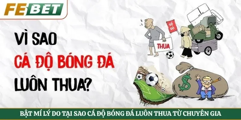 tại sao cá độ bóng đá luôn thua