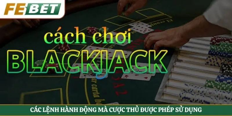 Các lệnh hành động mà cược thủ được phép sử dụng