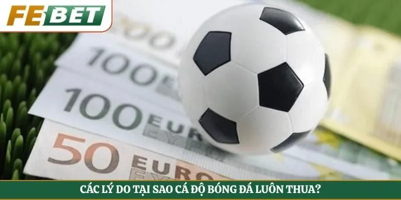 Các lý do tại sao cá độ bóng đá luôn thua?