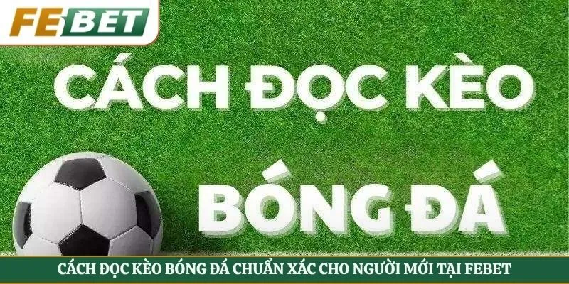 cách đọc kèo bóng đá