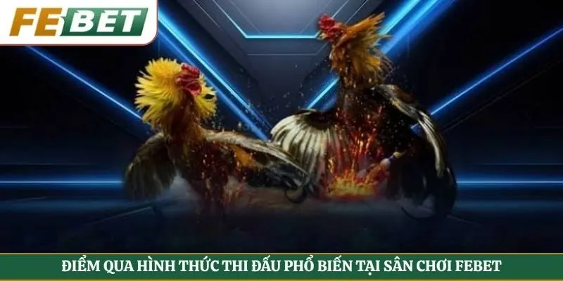 Điểm qua hình thức thi đấu phổ biến tại sân chơi Febet
