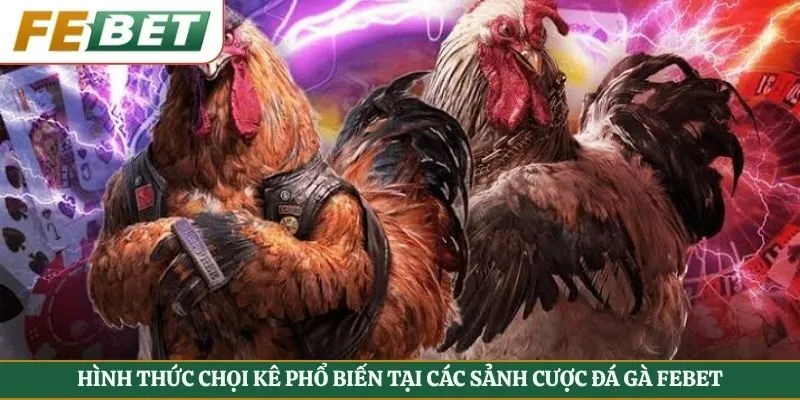 Hình thức chọi kê phổ biến tại các sảnh cược đá gà Febet
