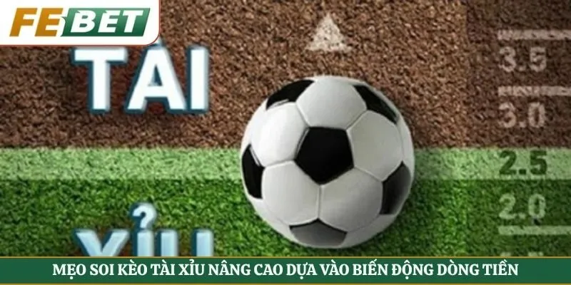 Mẹo soi kèo tài xỉu nâng cao dựa vào biến động dòng tiền