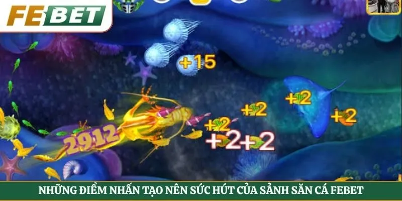 Những điểm nhấn tạo nên sức hút của sảnh săn cá Febet