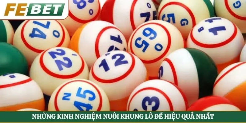 Những kinh nghiệm nuôi khung lô đề hiệu quả nhất