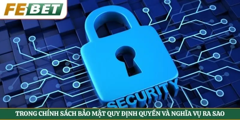Trong chính sách bảo mật quy định quyền và nghĩa vụ ra sao