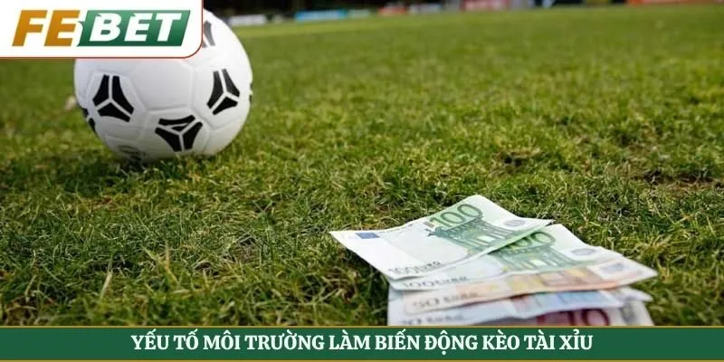 Yếu tố môi trường làm biến động kèo tài xỉu