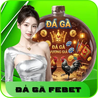 Đá gà Febet